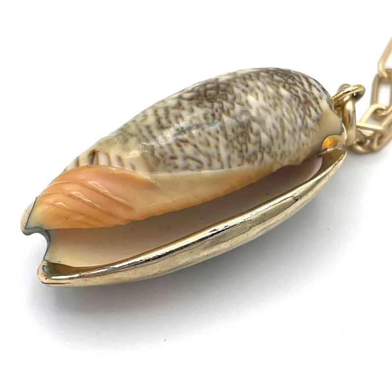 Gold Chain Necklace with Real Tan Seashell Pendant