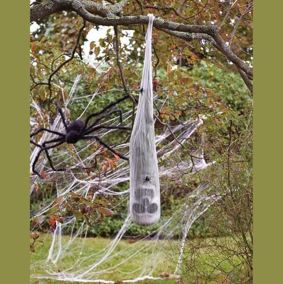 Skull in Spider Cocoon